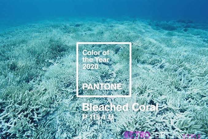 Pantone's Color of Year